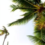 Hawaii Travel Guide Kindle Edition by XYZ Publishing – LGBTQ+ Friendly-0