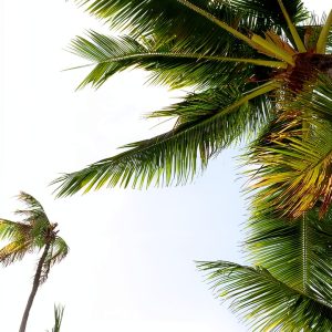 Hawaii Travel Guide Kindle Edition by XYZ Publishing – LGBTQ+ Friendly-0