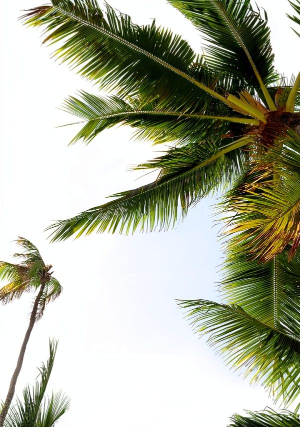 Hawaii Travel Guide Kindle Edition by XYZ Publishing – LGBTQ+ Friendly-0